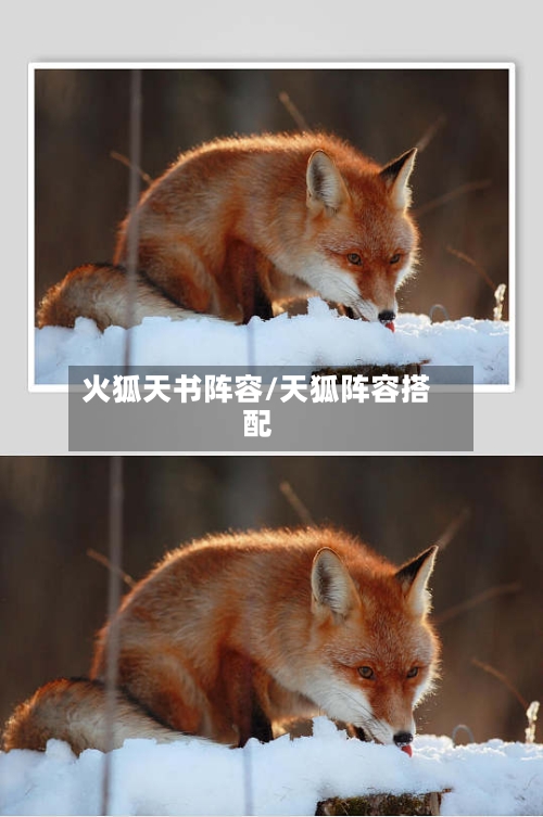 火狐天书阵容/天狐阵容搭配-第2张图片