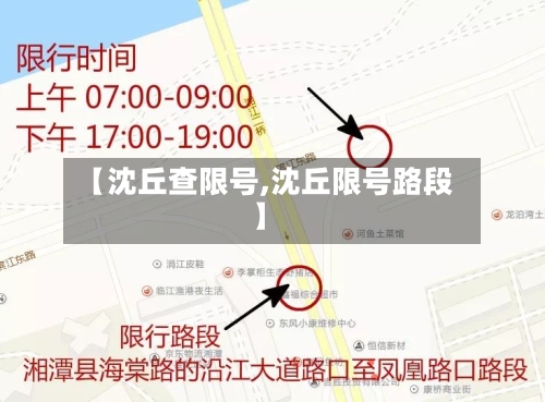 【沈丘查限号,沈丘限号路段】-第3张图片