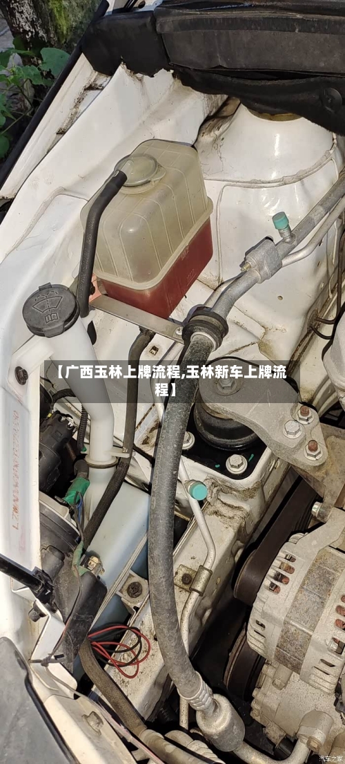 【广西玉林上牌流程,玉林新车上牌流程】