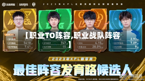 【职业TO阵容,职业战队阵容】-第2张图片