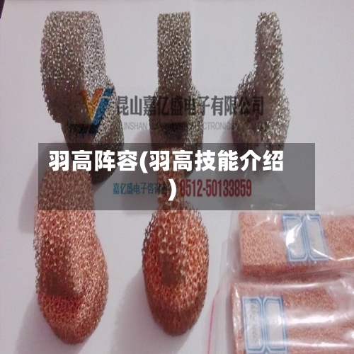 羽高阵容(羽高技能介绍)-第2张图片