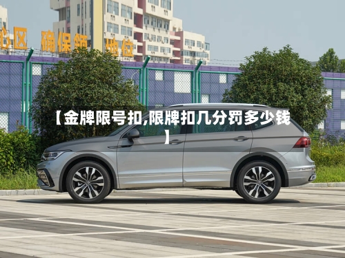 【金牌限号扣,限牌扣几分罚多少钱】-第2张图片