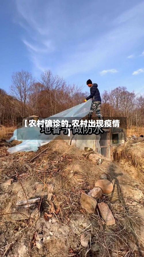 【农村确诊的,农村出现疫情】-第2张图片
