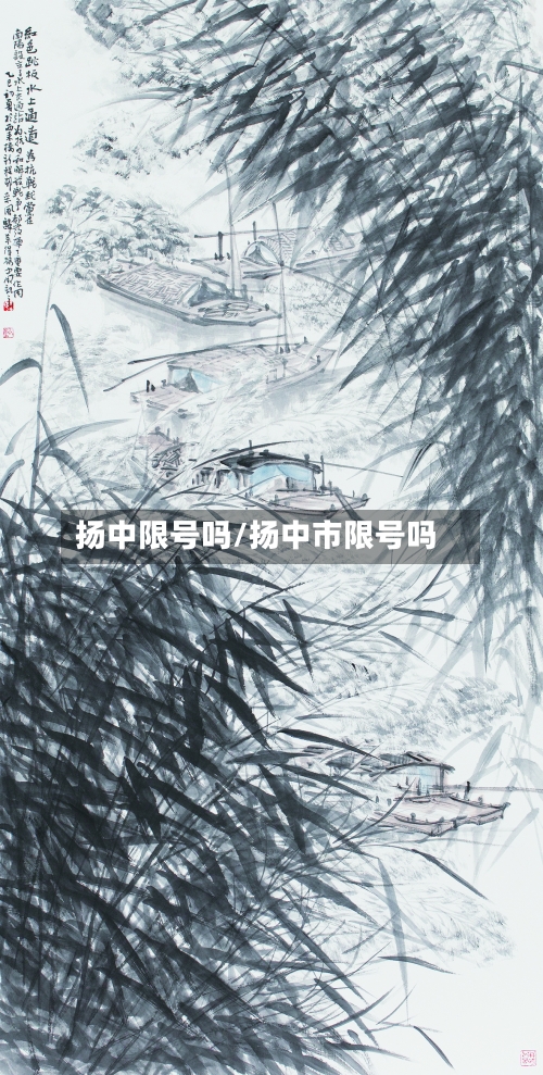 扬中限号吗/扬中市限号吗