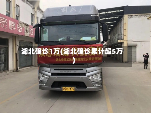 湖北确诊1万(湖北确诊累计超5万)-第3张图片