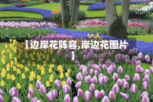 【边岸花阵容,岸边花图片】-第2张图片
