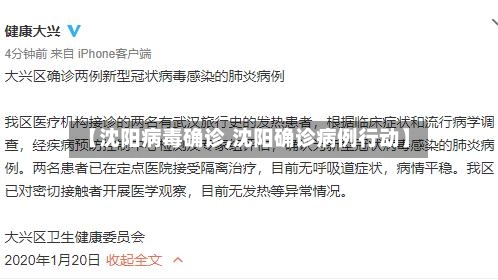 【沈阳病毒确诊,沈阳确诊病例行动】-第2张图片