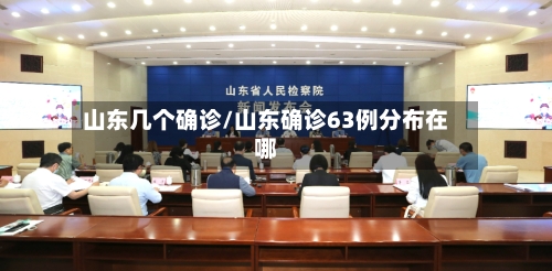 山东几个确诊/山东确诊63例分布在哪-第2张图片