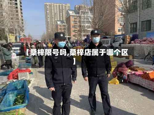 【桑梓限号吗,桑梓店属于哪个区】