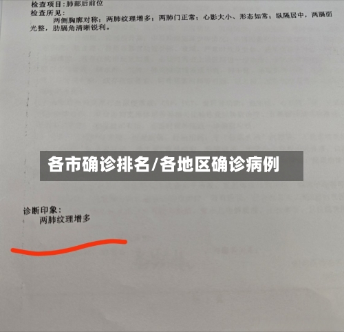 各市确诊排名/各地区确诊病例