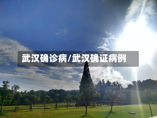 武汉确诊病/武汉确证病例-第2张图片