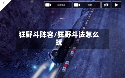 狂野斗阵容/狂野斗法怎么玩