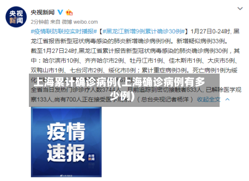 上海累计确诊病例(上海确诊病例有多少例)