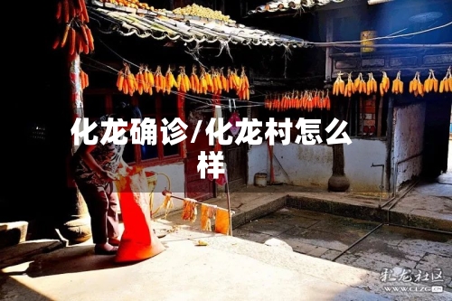 化龙确诊/化龙村怎么样-第2张图片