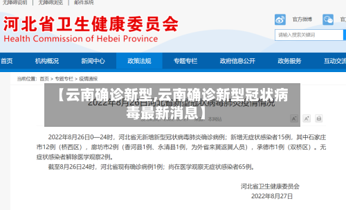 【云南确诊新型,云南确诊新型冠状病毒最新消息】-第2张图片