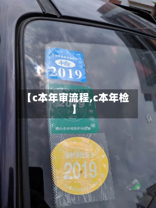 【c本年审流程,c本年检】