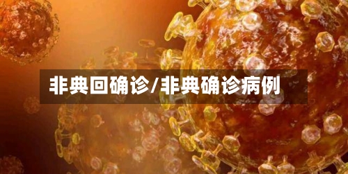 非典回确诊/非典确诊病例-第2张图片
