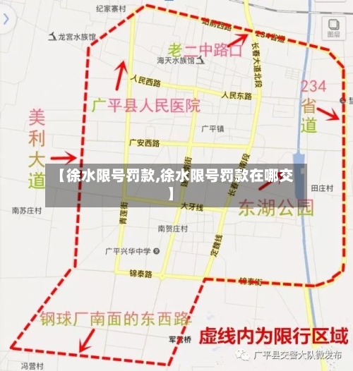 【徐水限号罚款,徐水限号罚款在哪交】