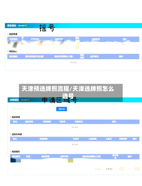 天津预选牌照流程/天津选牌照怎么选号