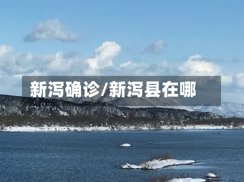 新泻确诊/新泻县在哪