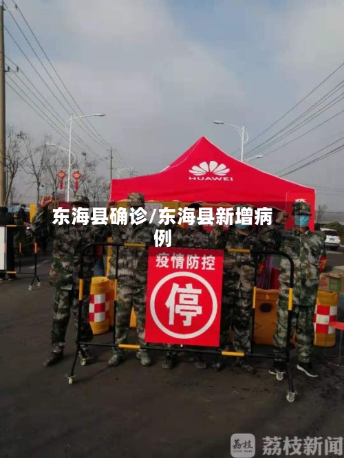东海县确诊/东海县新增病例
