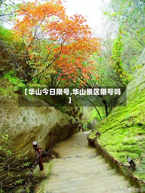 【华山今日限号,华山景区限号吗】-第3张图片