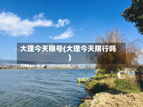 大理今天限号(大理今天限行吗)