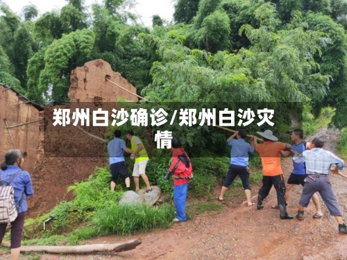 郑州白沙确诊/郑州白沙灾情-第3张图片
