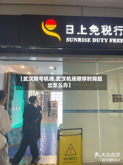 【武汉限号机场,武汉机场限停时间超出怎么办】-第3张图片