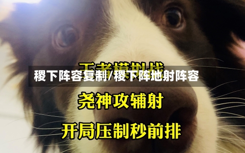 稷下阵容复制/稷下阵地射阵容