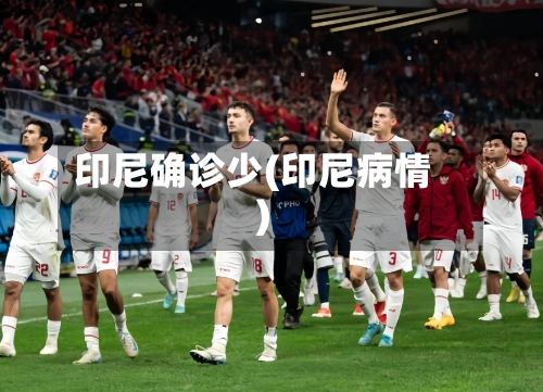 印尼确诊少(印尼病情)