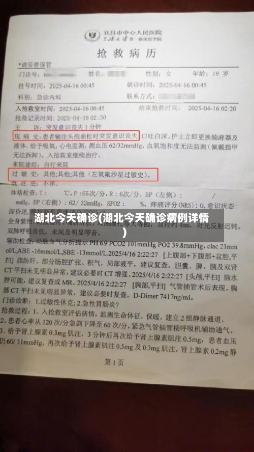 湖北今天确诊(湖北今天确诊病例详情)-第2张图片