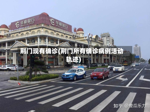荆门现有确诊(荆门所有确诊病例活动轨迹)