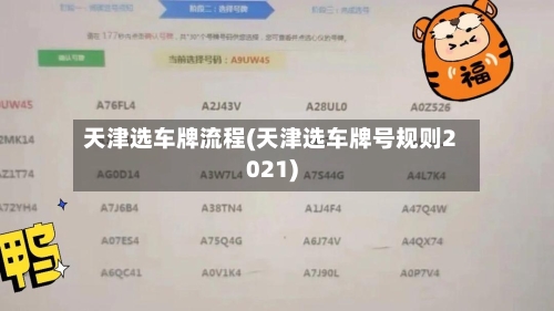 天津选车牌流程(天津选车牌号规则2021)-第2张图片