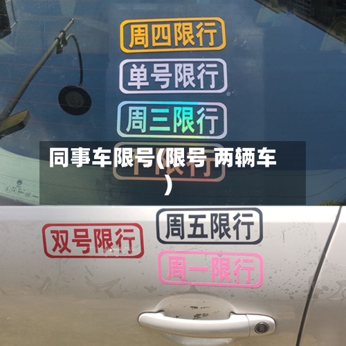 同事车限号(限号 两辆车)