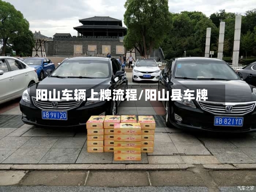 阳山车辆上牌流程/阳山县车牌