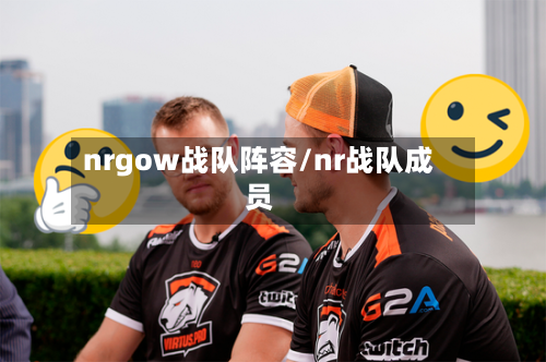 nrgow战队阵容/nr战队成员