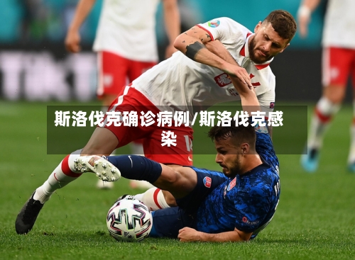 斯洛伐克确诊病例/斯洛伐克感染