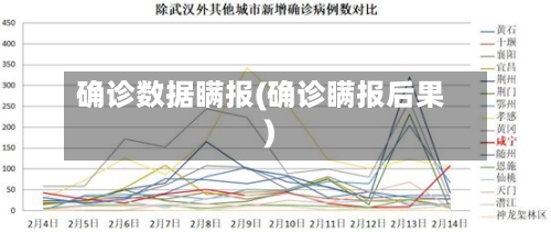 确诊数据瞒报(确诊瞒报后果)
