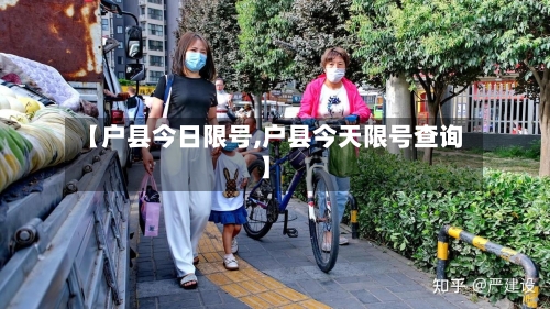 【户县今日限号,户县今天限号查询】-第3张图片