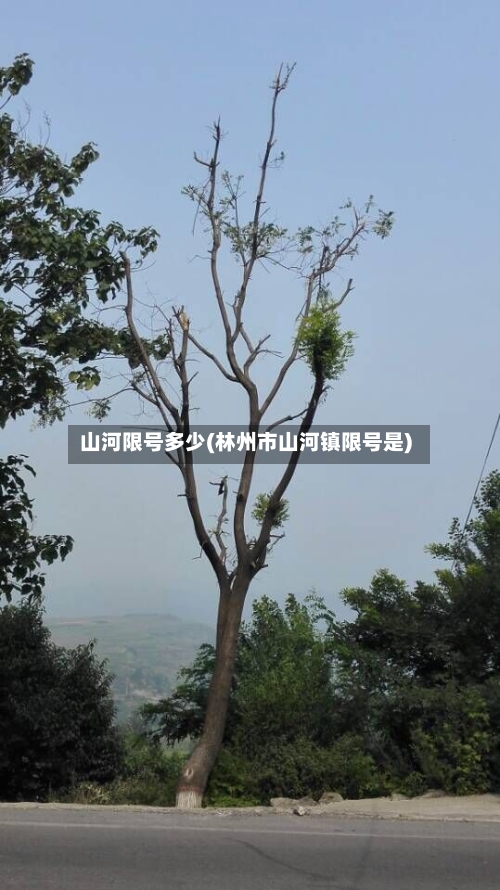 山河限号多少(林州市山河镇限号是)