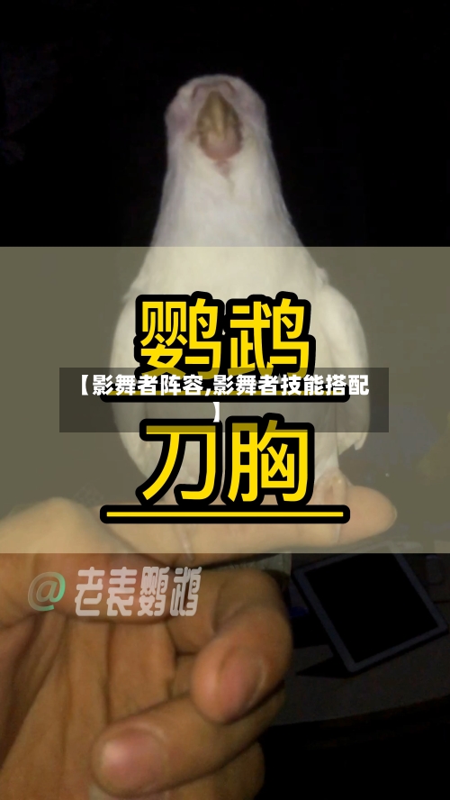 【影舞者阵容,影舞者技能搭配】