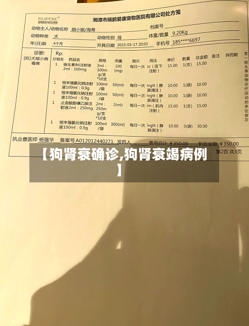 【狗肾衰确诊,狗肾衰竭病例】-第2张图片