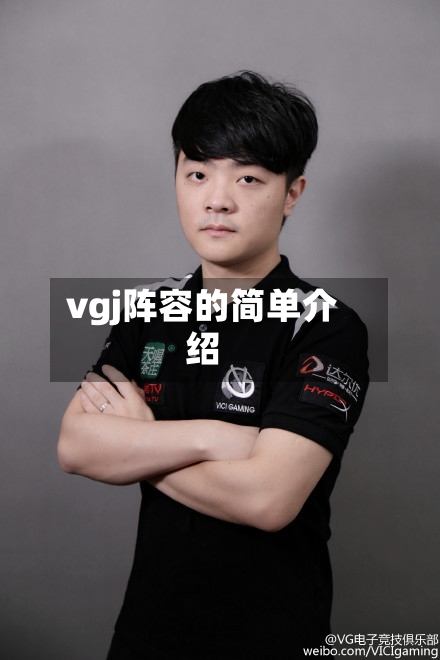 vgj阵容的简单介绍-第2张图片