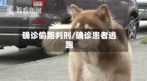 确诊偷跑判刑/确诊患者逃跑-第3张图片