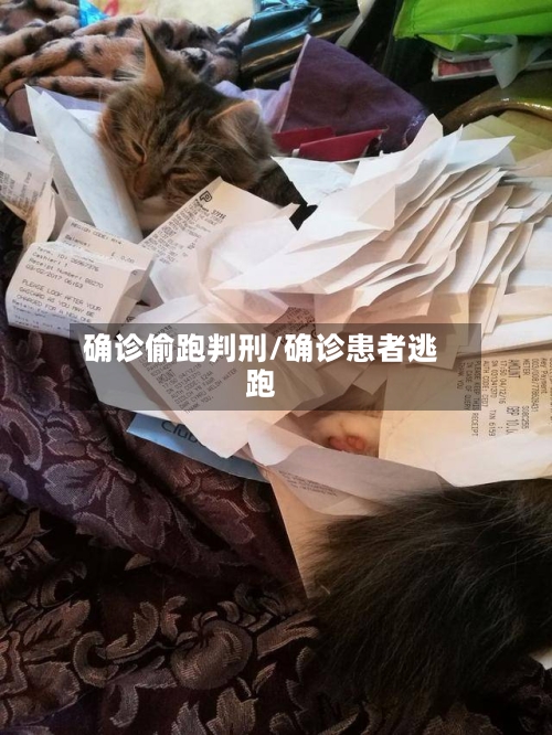 确诊偷跑判刑/确诊患者逃跑-第2张图片