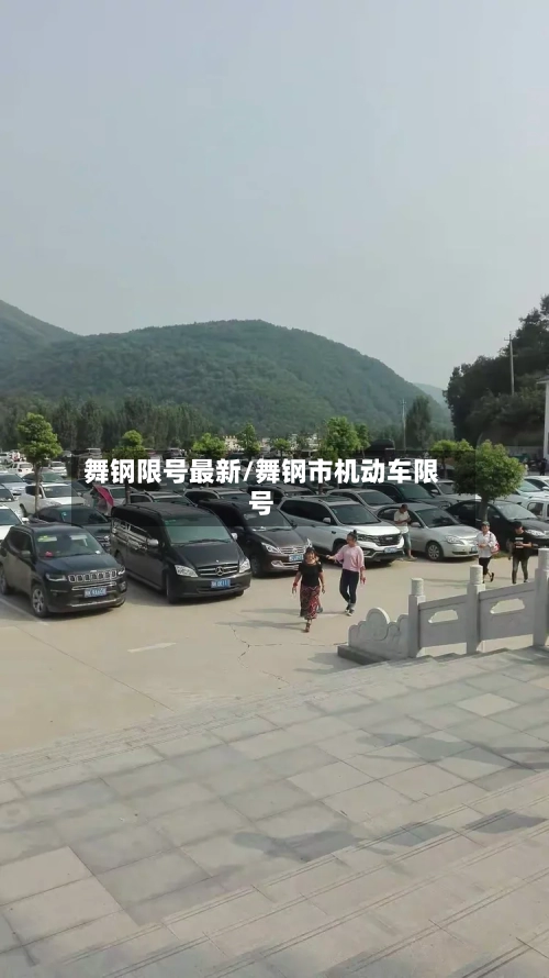 舞钢限号最新/舞钢市机动车限号-第3张图片