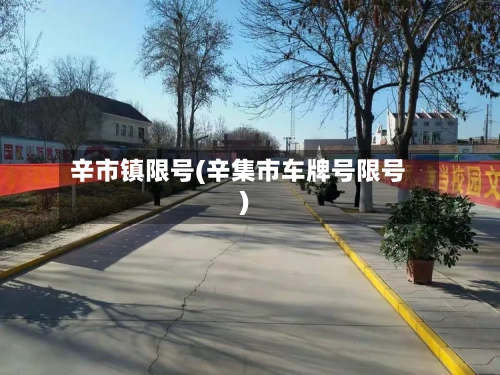 辛市镇限号(辛集市车牌号限号)