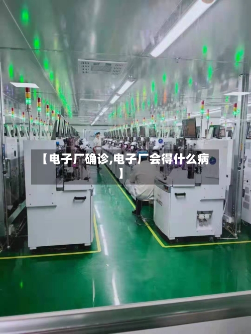 【电子厂确诊,电子厂会得什么病】-第2张图片