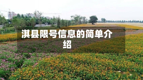 淇县限号信息的简单介绍-第2张图片
